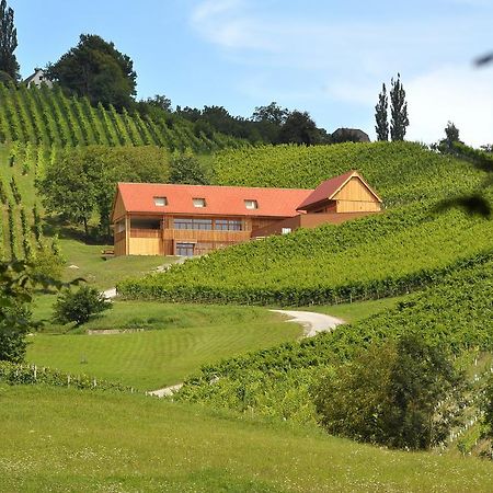 Vino Valdhuber Apartments Svecina Kültér fotó