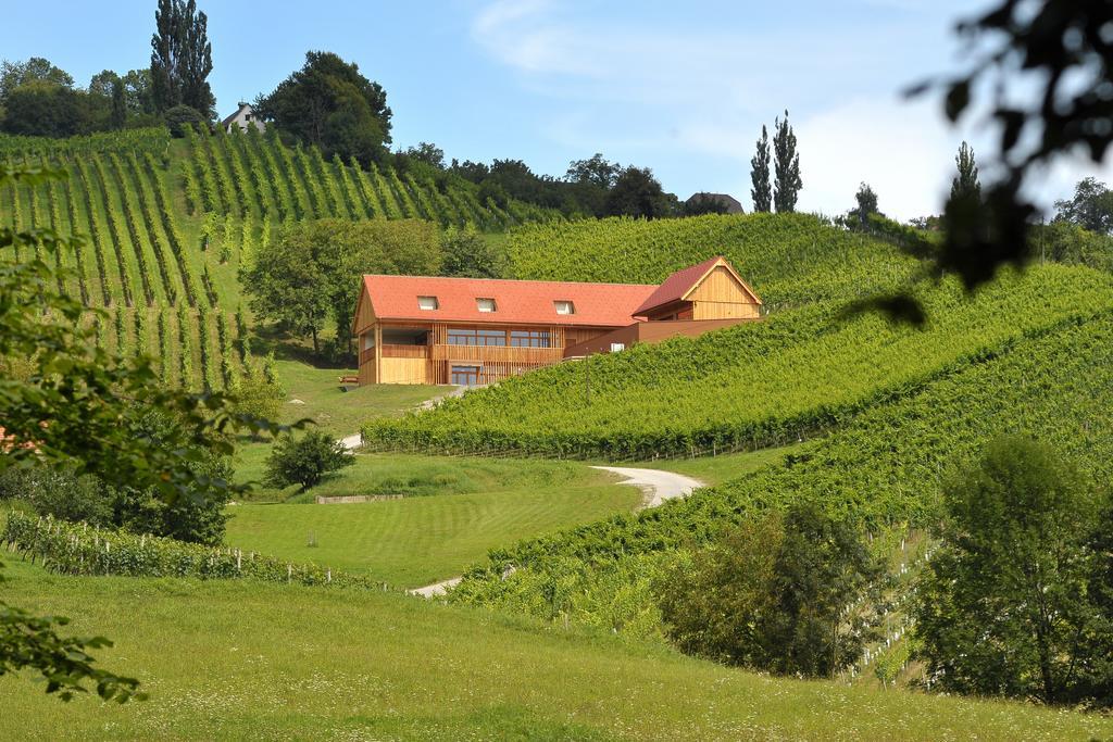 Vino Valdhuber Apartments Svecina Kültér fotó
