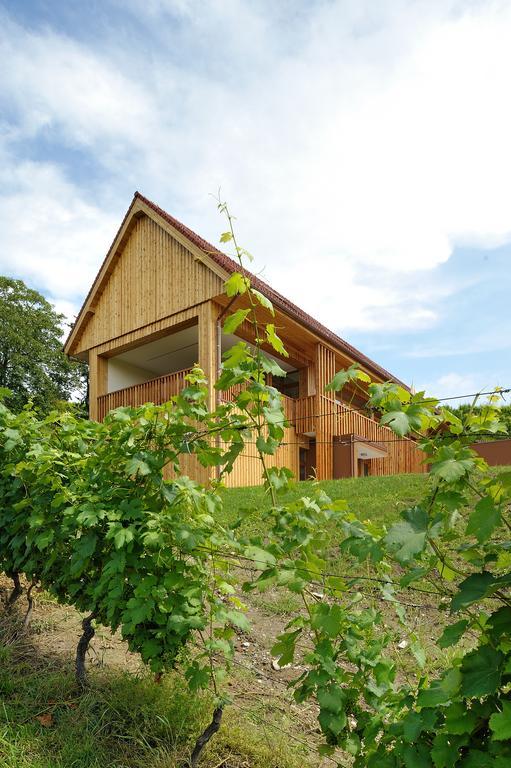 Vino Valdhuber Apartments Svecina Kültér fotó
